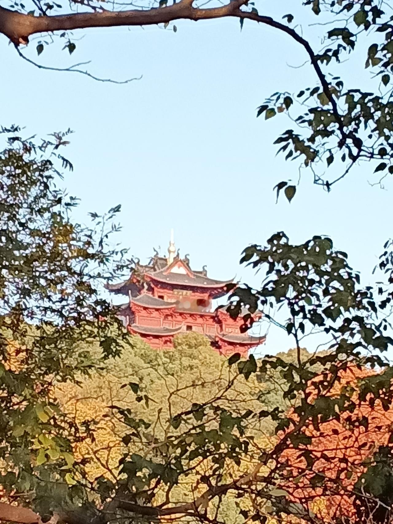 随手拍张图，分享美好瞬间秋日景色别样鲜，