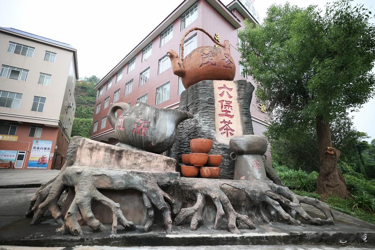 六堡茶为何畅销东南亚？

六堡茶属于黑茶，因产自广西梧州市苍梧县六堡镇而得名。1