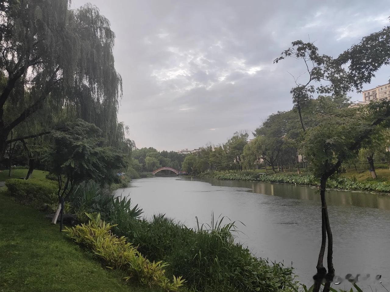 生活不是等待风暴过去，而是学会在雨中翩翩起舞。