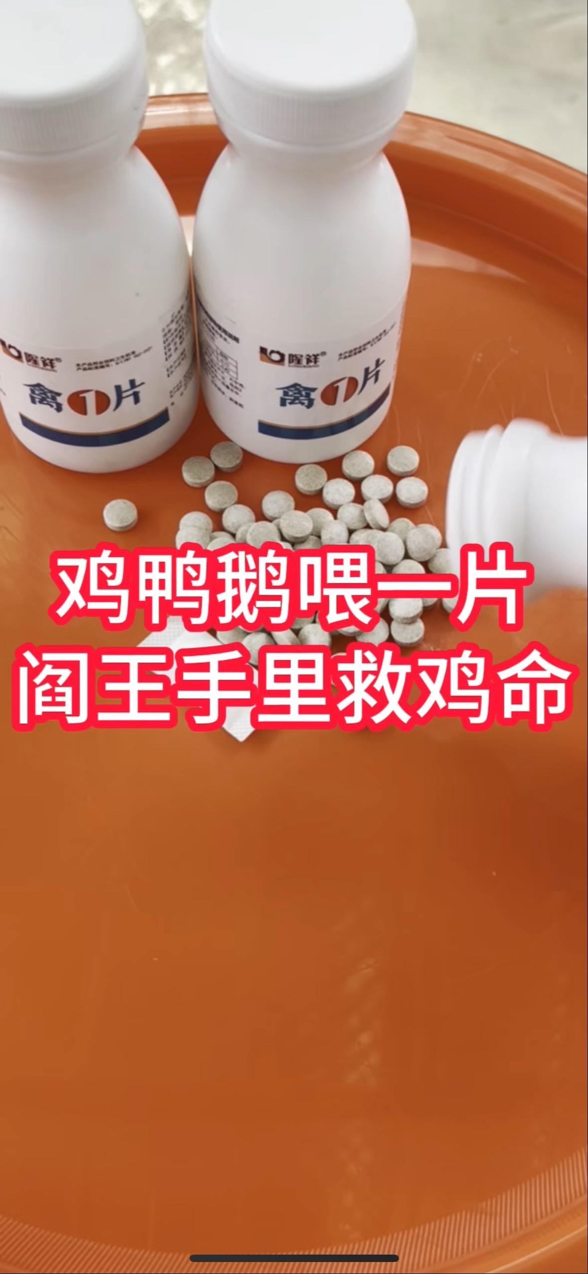 养鸡救命药十年不死鸡
这是一个可以从阎王手里救鸡命的特效产品不管生病多严重你都可