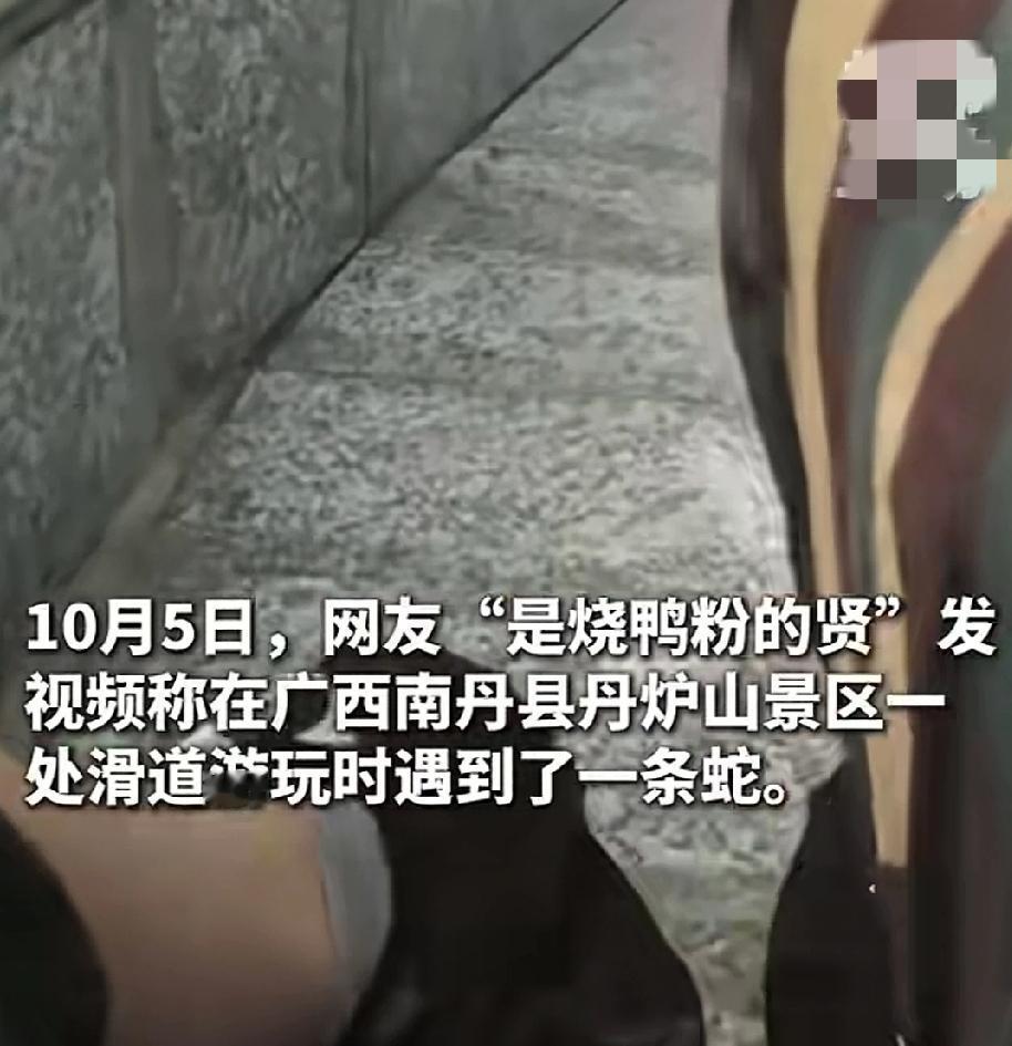 10月5日，一游客在广西南丹县丹炉山景区游玩。为寻求刺激，体验了滑道。没想到的是