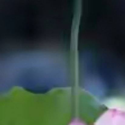 有些事不是看到了希望才去坚持，而是因为坚持才会看到希望。 