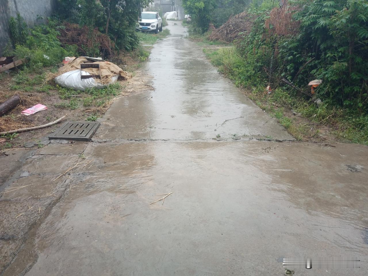 今年的天气真奇怪
老话说“四月旱死牛”
今年四月的雨却一场接一场
场场如六月
老