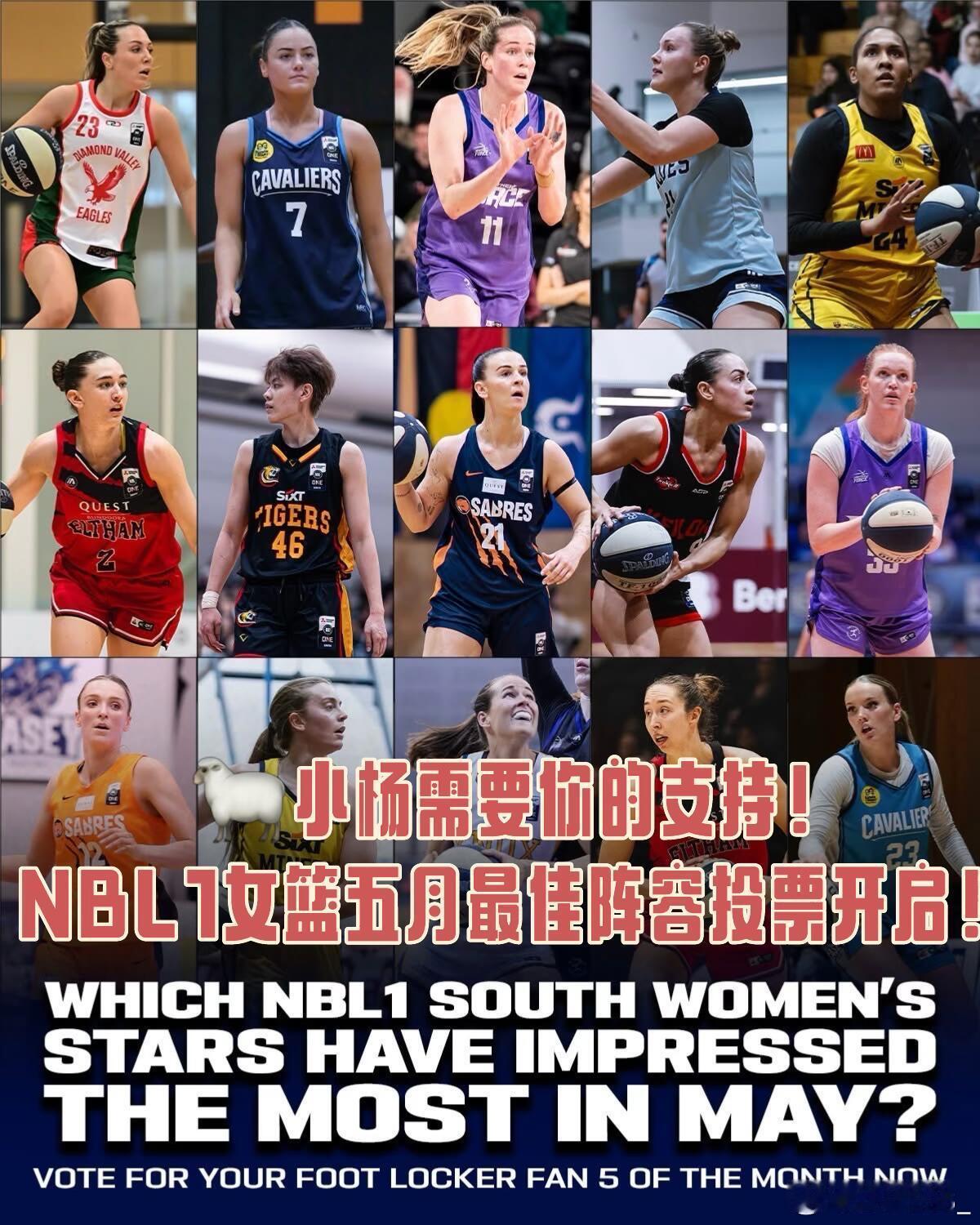 杨舒予杨舒予NBL1 20260612(作者发布时间)小杨需要我们球迷支持！ 又