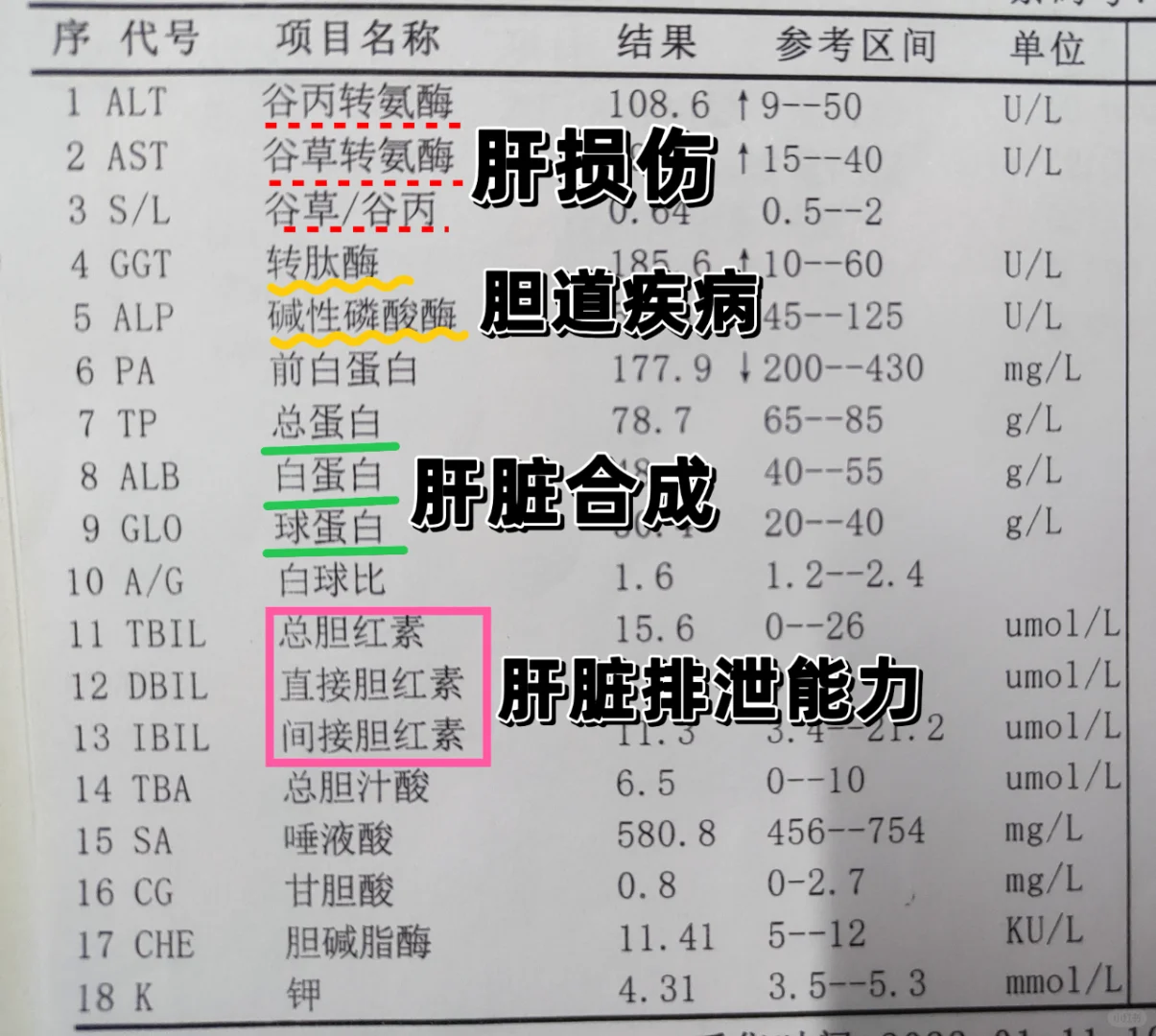 肝功能怎么看？