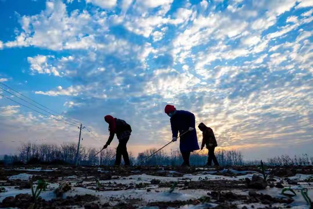 农民养老金终于要涨了？70岁以上老人有望多领钱，这个建议让人泪目

“不敢生病，