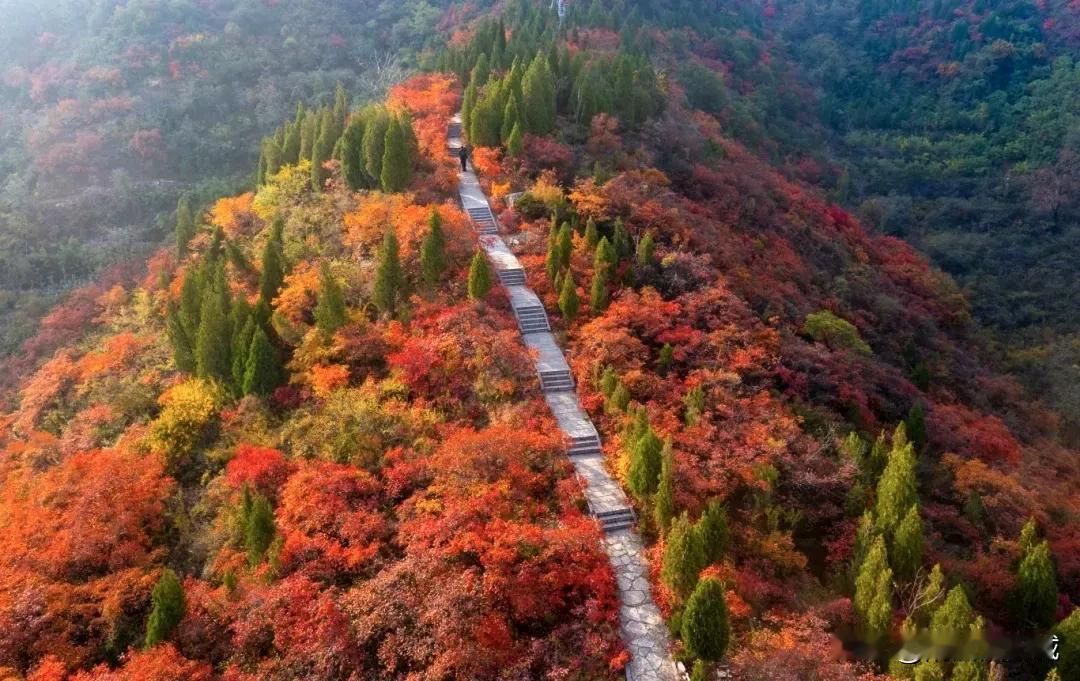 红叶加载量进去倒计时！快来打卡，错过再等一年！