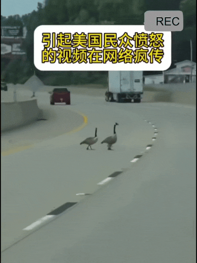 最近外网一段视频引发了热议，美国网民的愤怒都快溢出屏幕了。
原来是在美国一条公路