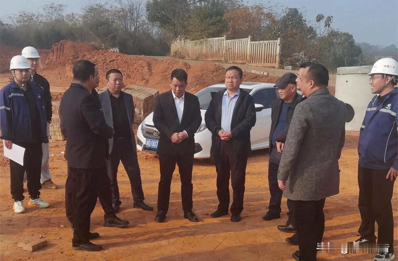 近日，白沙绿岛高新区召开投资促进暨年底重点工作部署现场调度会，加快纽瑞特项目土地