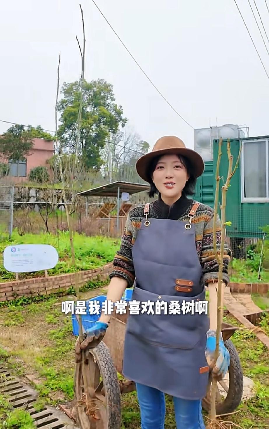 汪涵和老婆杨乐乐在长沙乡下承包了几块菜地，但不完全用来种菜，一块用来种香草，一块