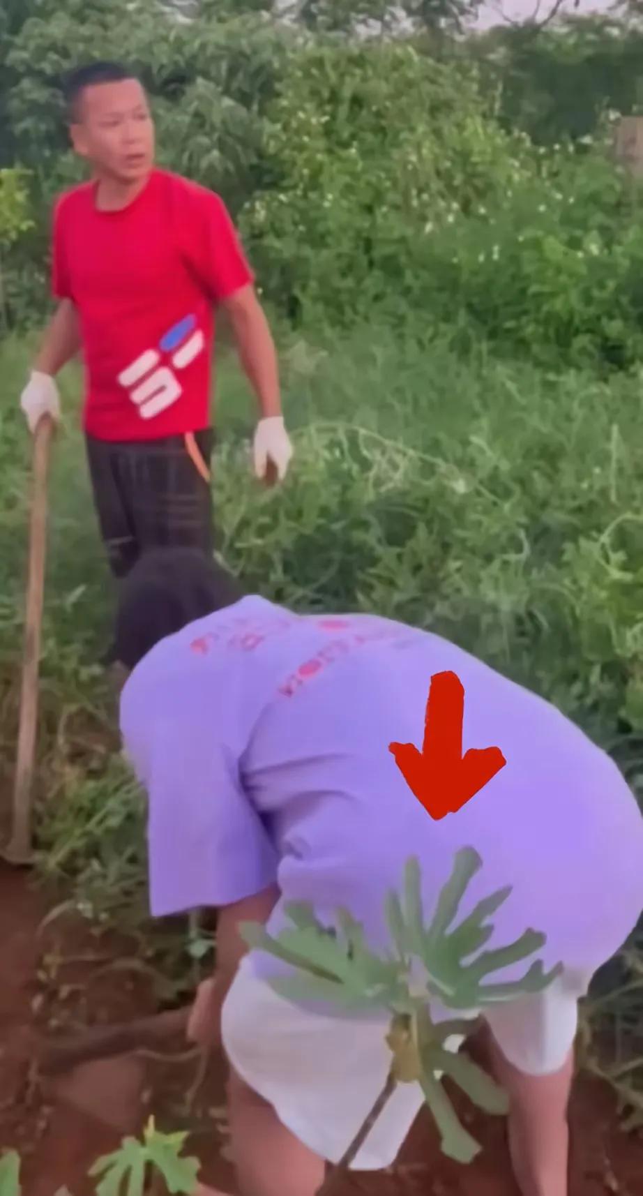 不管你是奥运冠军，还是千万富翁，既然回到了农村老家，那你就得帮父母去地里干活，就