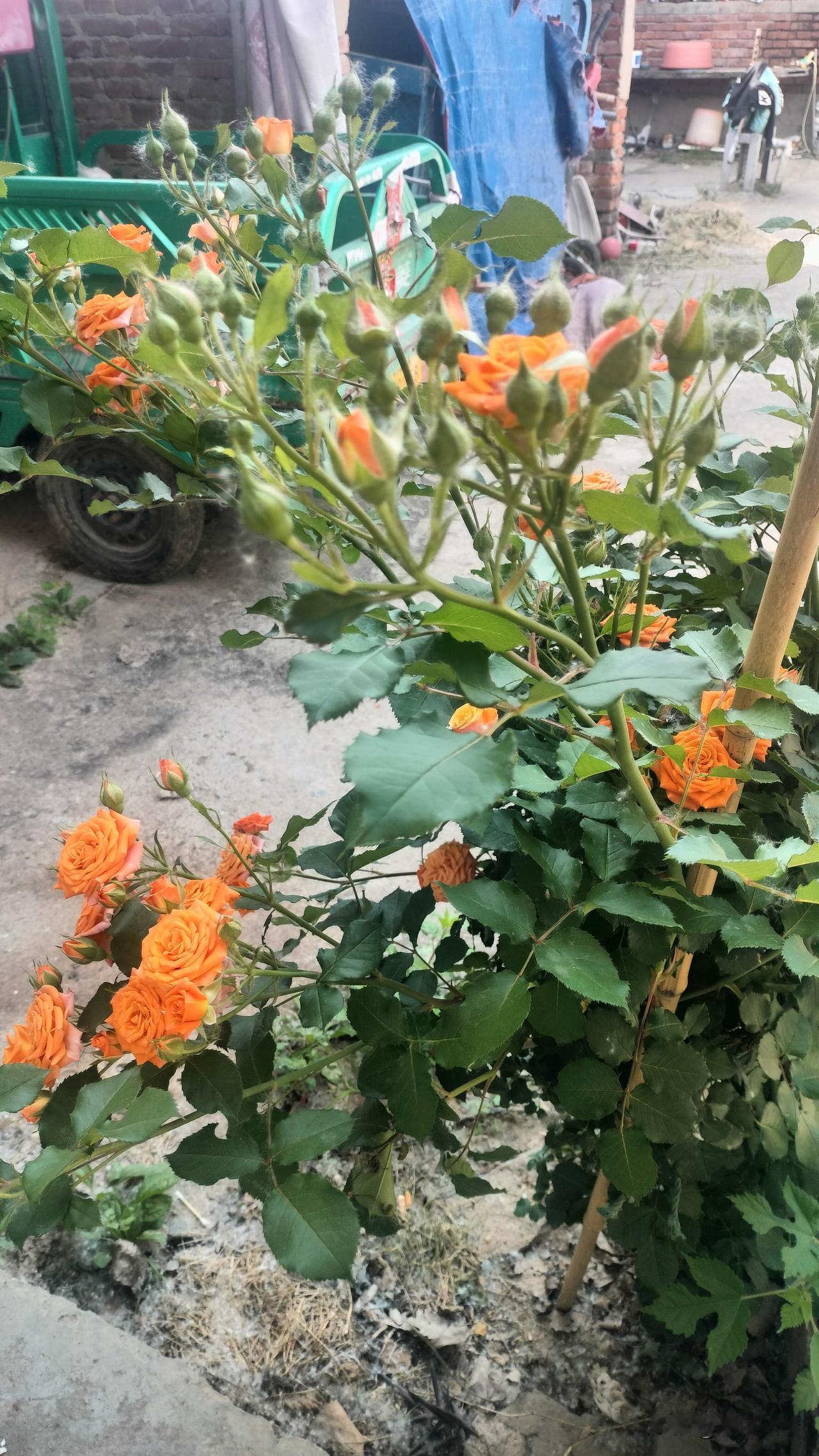 谁说的互动必不可少，谁又说根本不需要互动？其实，方法不对，努力白费，还是互动技巧