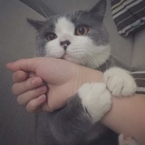 地理迷热看娱乐