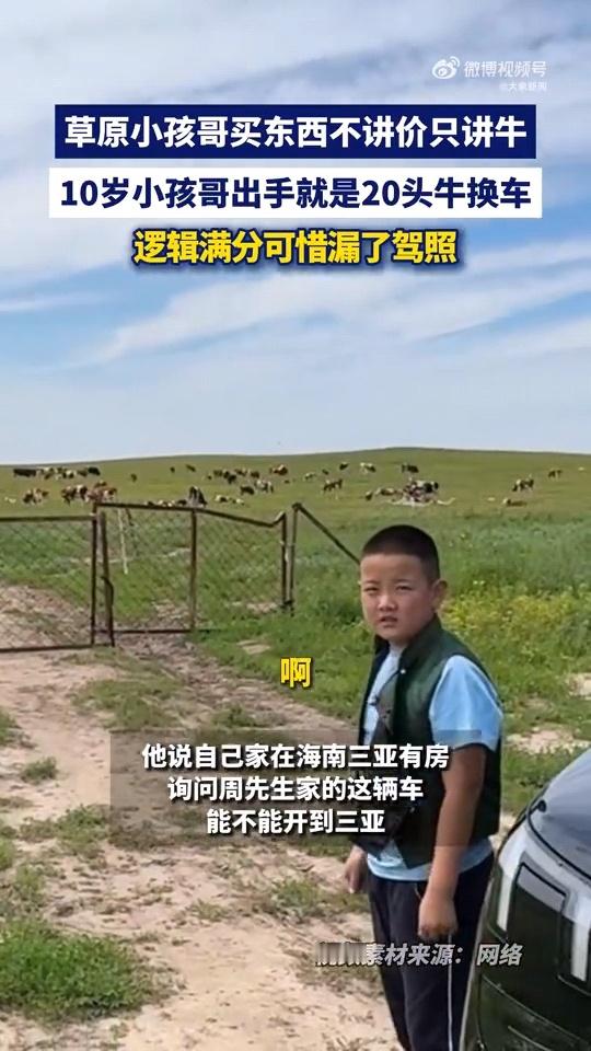 这小孩哥不简单，看见喜欢的车直接拿牛换，眼里没怯生，只有直白的喜欢。草原长大的孩