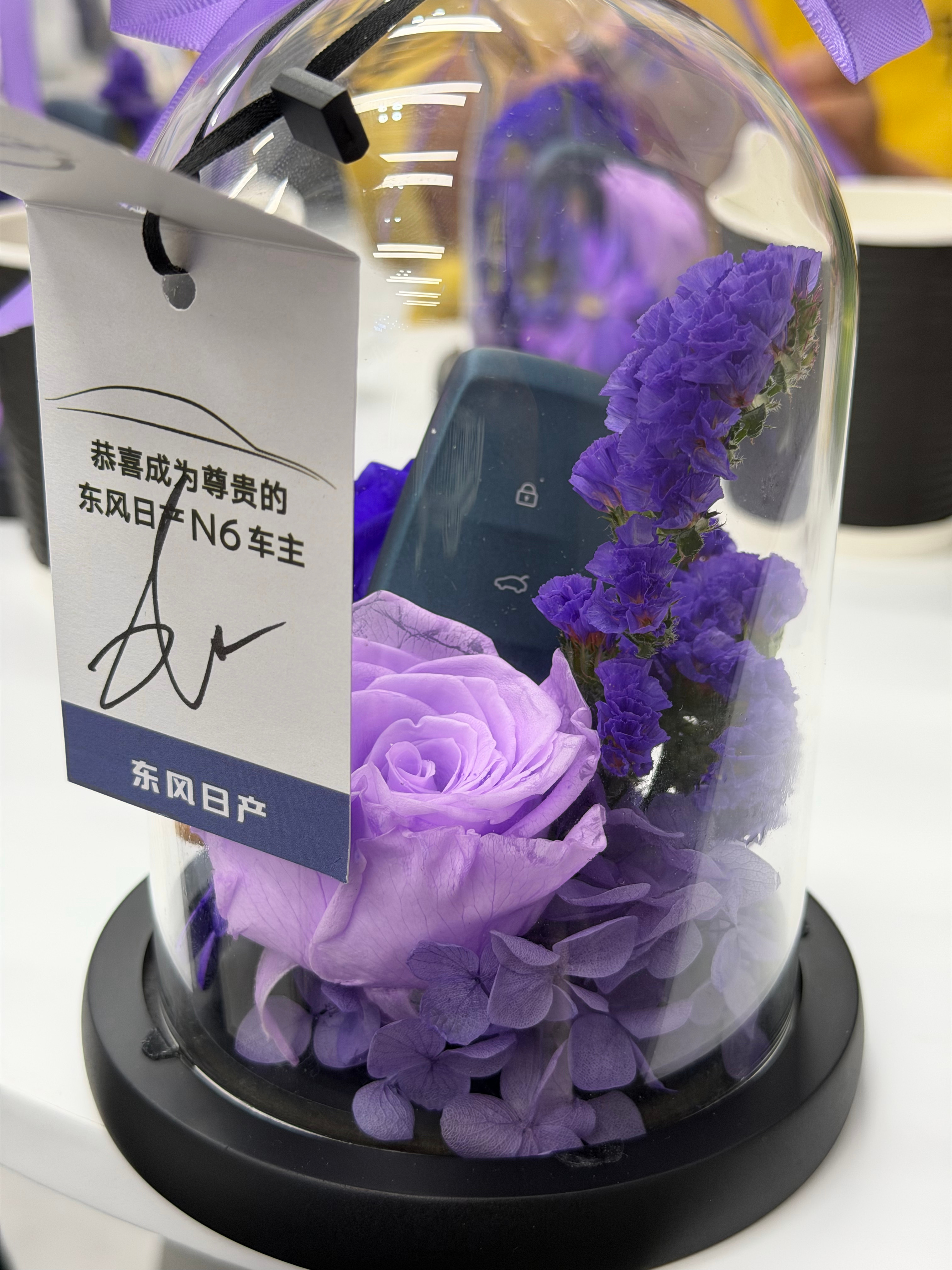 东风日产 N6 今天在长沙车展交车，成为1/11763，不得不说这车卖的是真好