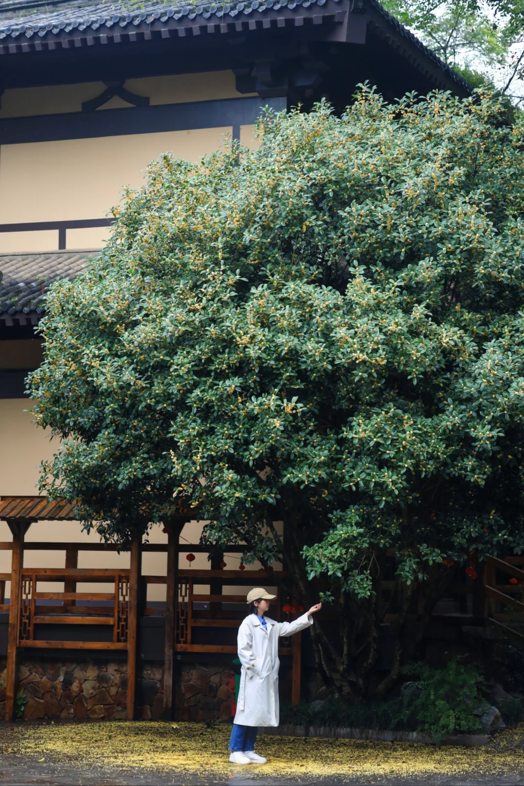 国家地理没骗我❗湖北这2个地方美到窒息