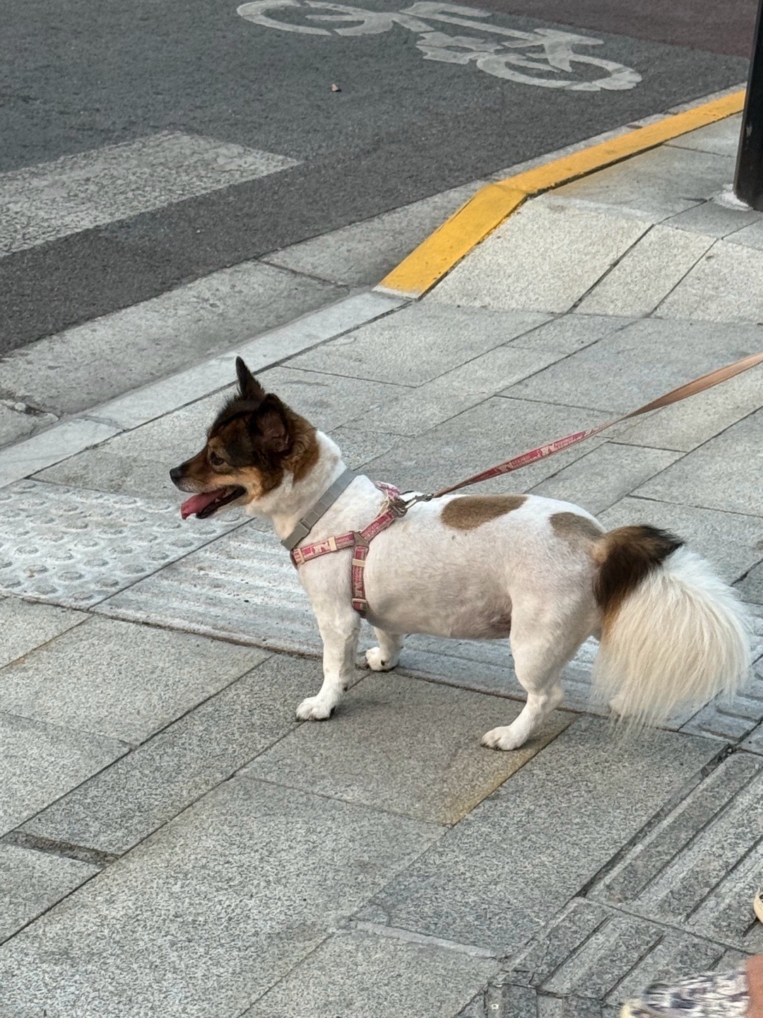 这就半年了吗？好快啊！ 一直在💛 