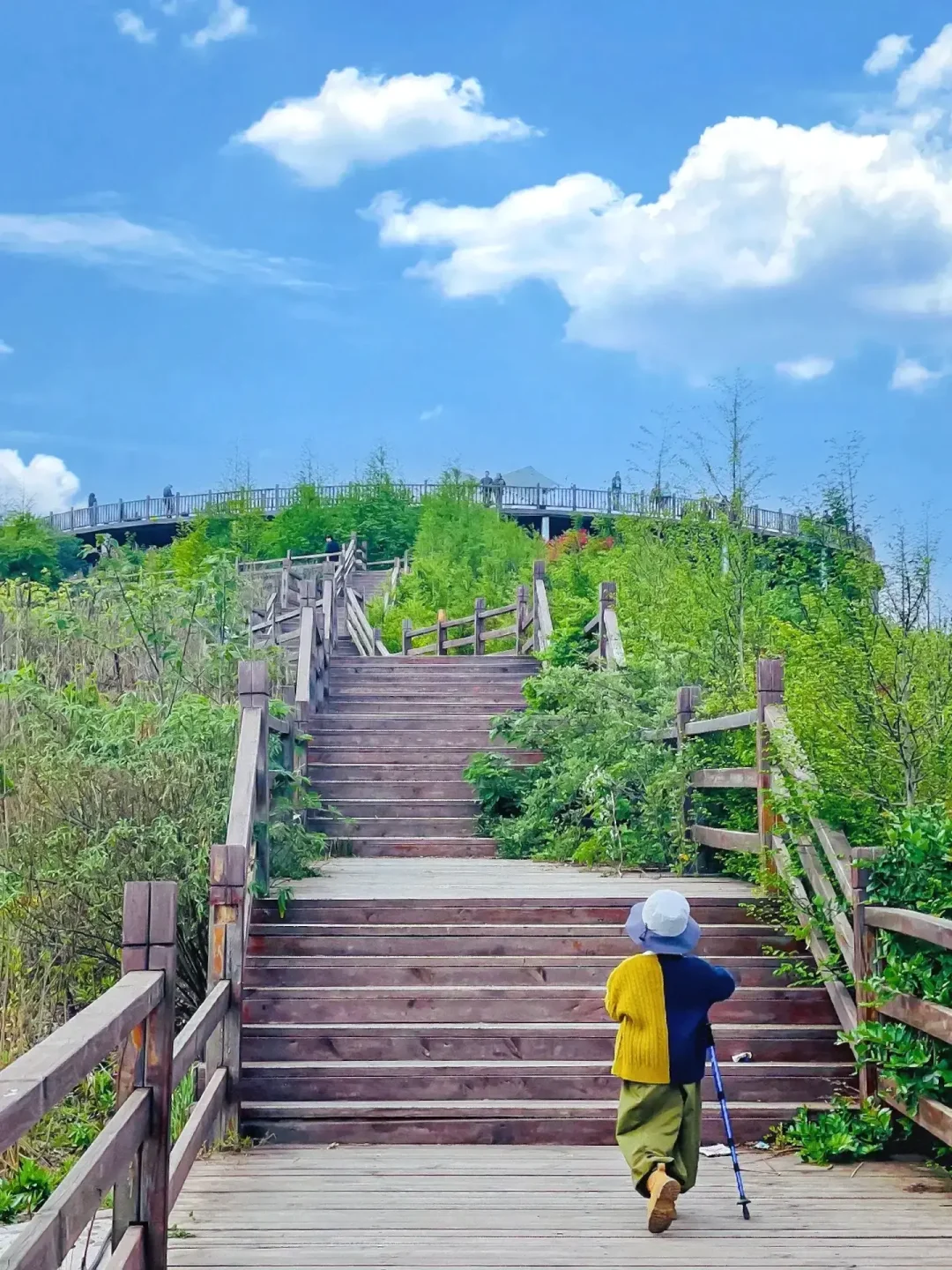 成都遛娃✅｜可以俯瞰整座城市的亲子徒步栈道