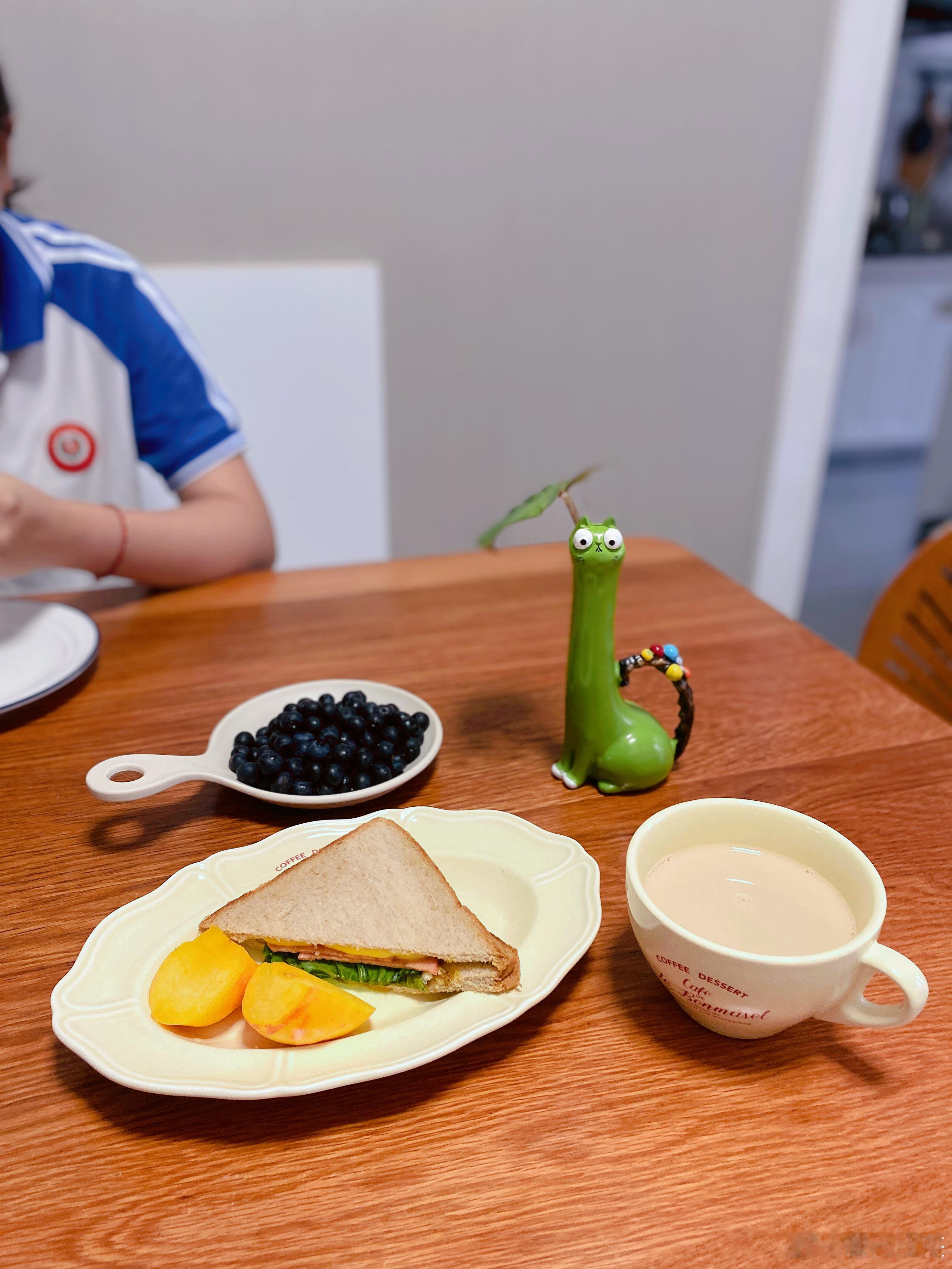 早自从决定给孩子们戒掉零食，家里已经很久很久没有买零食了，孩子们不知不觉也坚持下