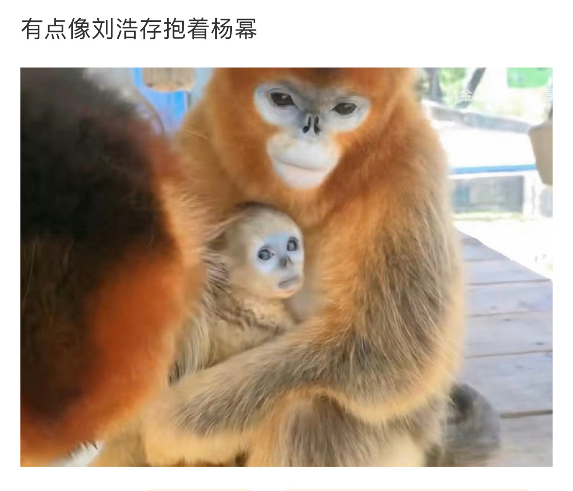 一旦代入… ​​​