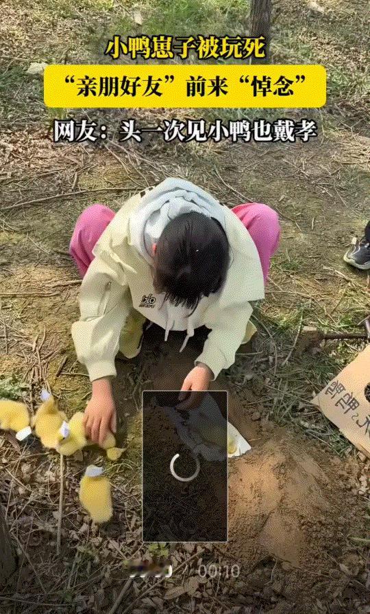 山东，三个孩子和家里的小鸭崽玩耍时出了意外，其中两只小鸭崽被年纪小的妹妹不小心玩