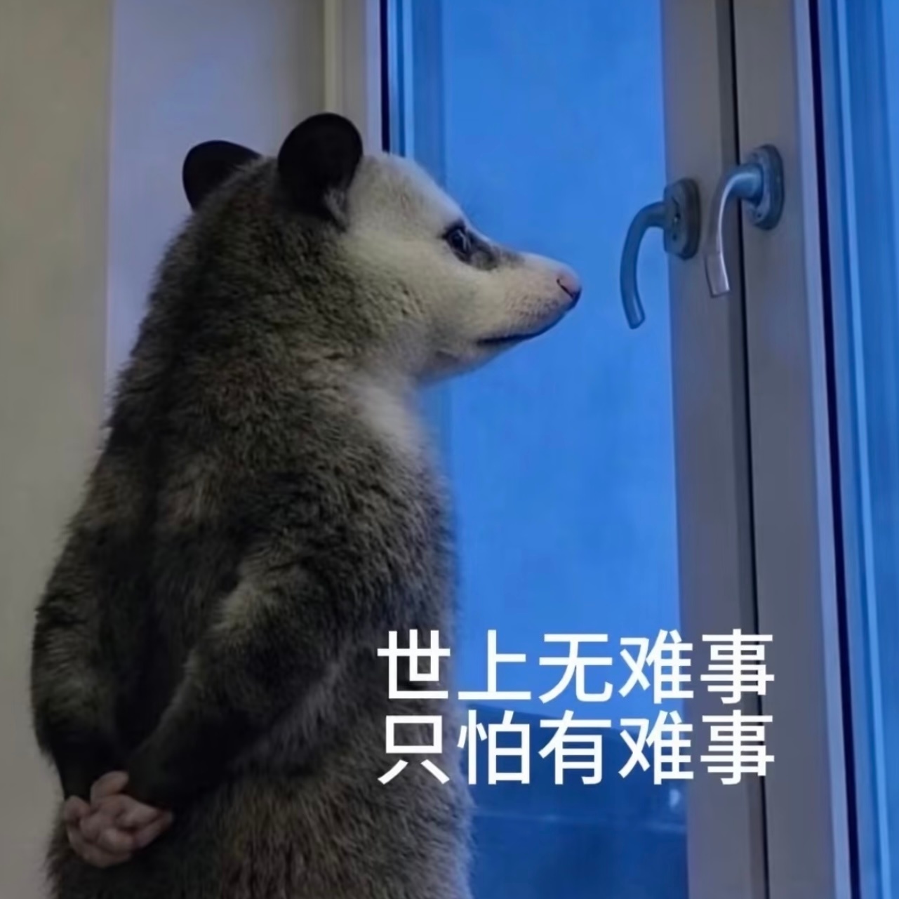 好贱的劳碌命  加班到现在累的要死完全被榨干  结果因为被同事夸了几句又吭哧吭哧