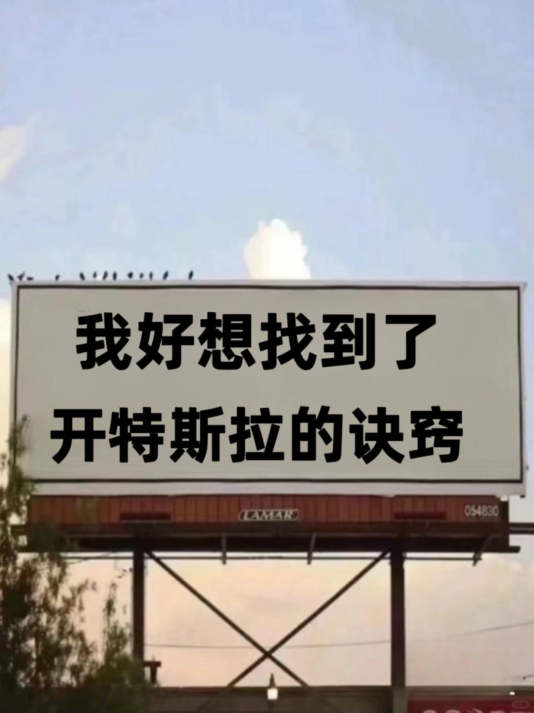 逼着自己看完‼️你超会开特斯拉㊙️