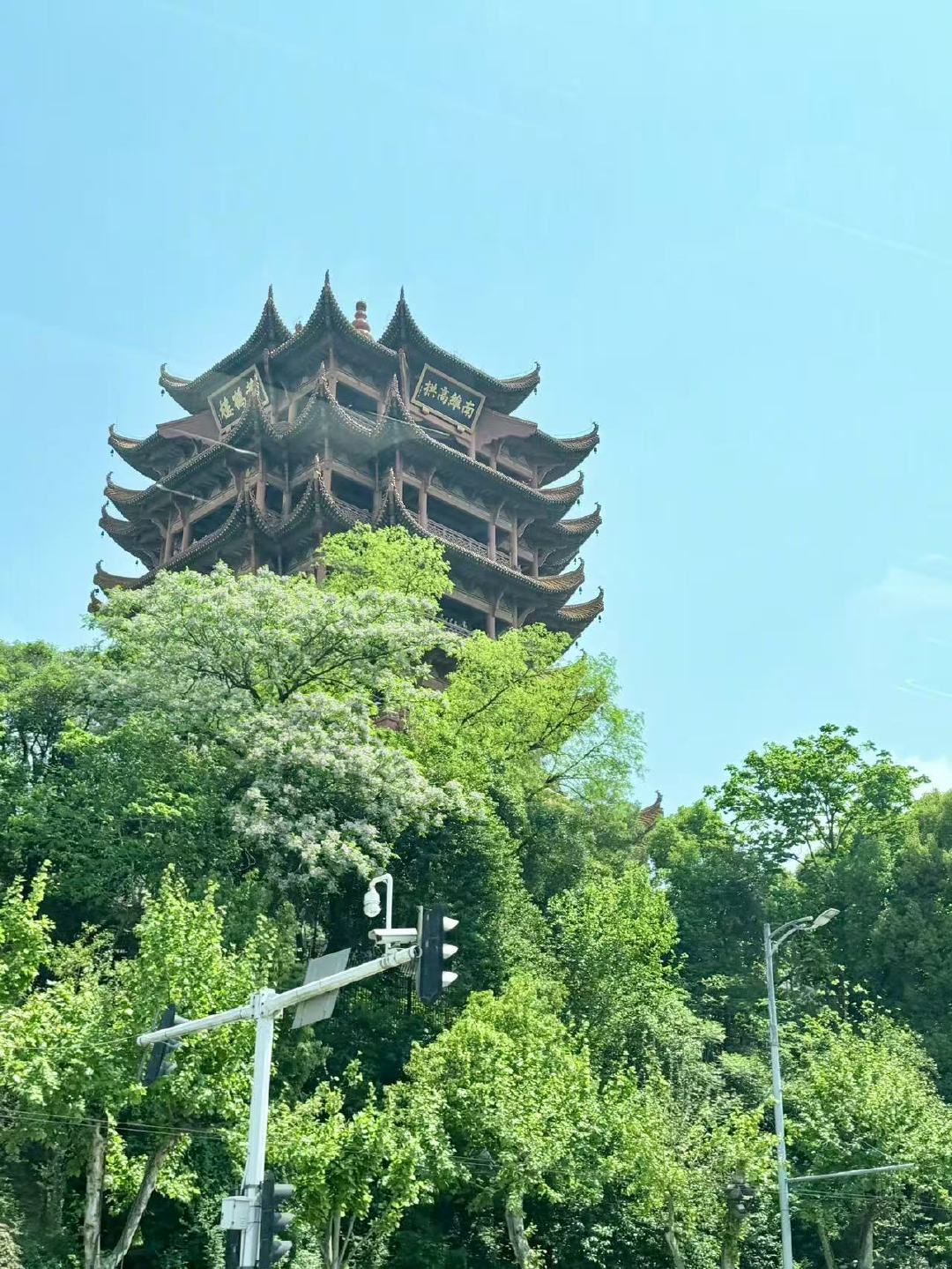 白鹿拍的黄鹤楼白鹿豹纹背心白鹿拍的黄鹤楼！ 