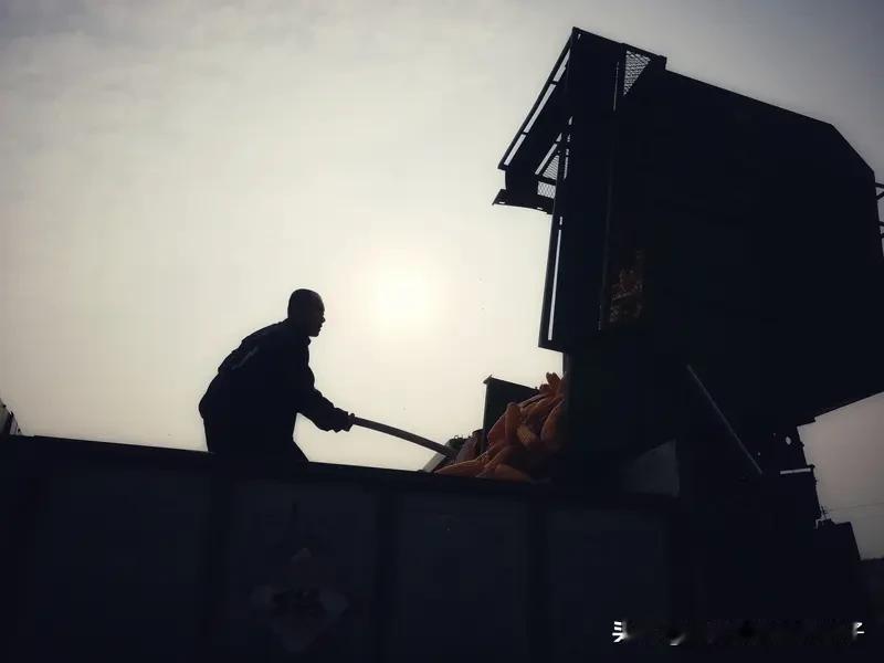 看到“辛辛苦苦干一年”这个下联，我也来凑个上联热闹。我对“忙忙碌碌拼四季”。
你