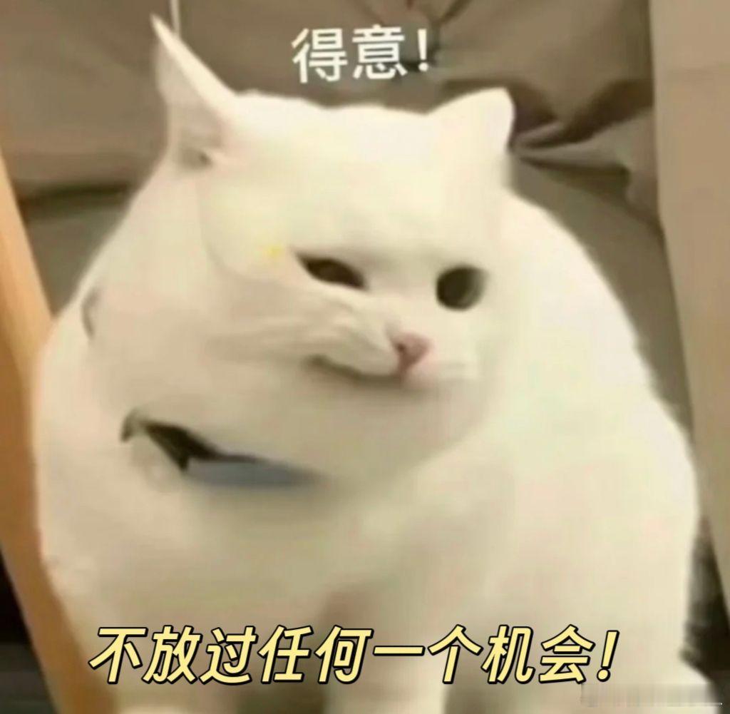 惠英红65岁正是闯的年纪追完十三邀联合制作的《见非凡2025》惠英红的访谈，作为