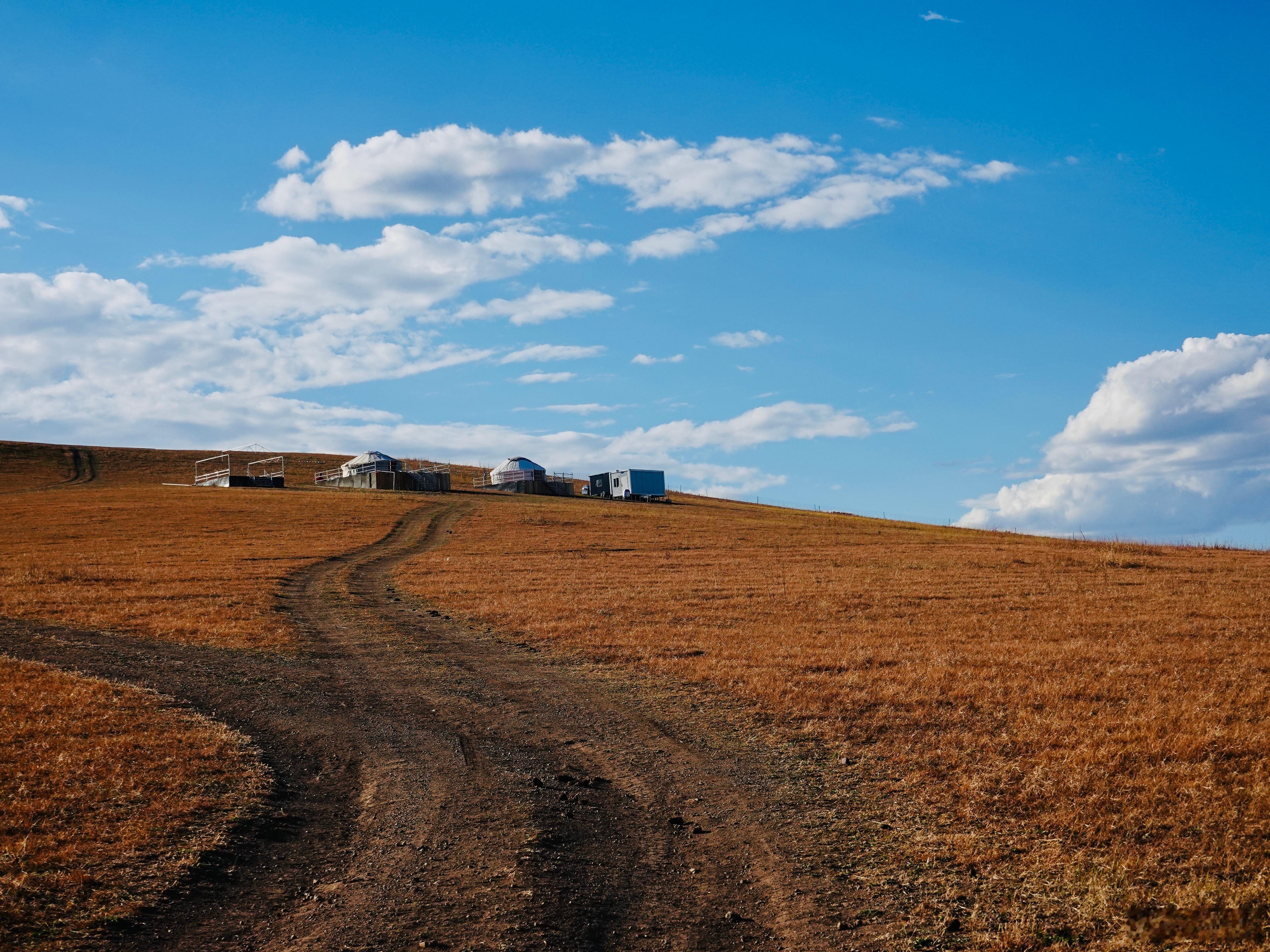 看着天渐渐黑了，有一刻觉得最近经历的似乎是一场梦境，只有感受和体会是真实的。所有