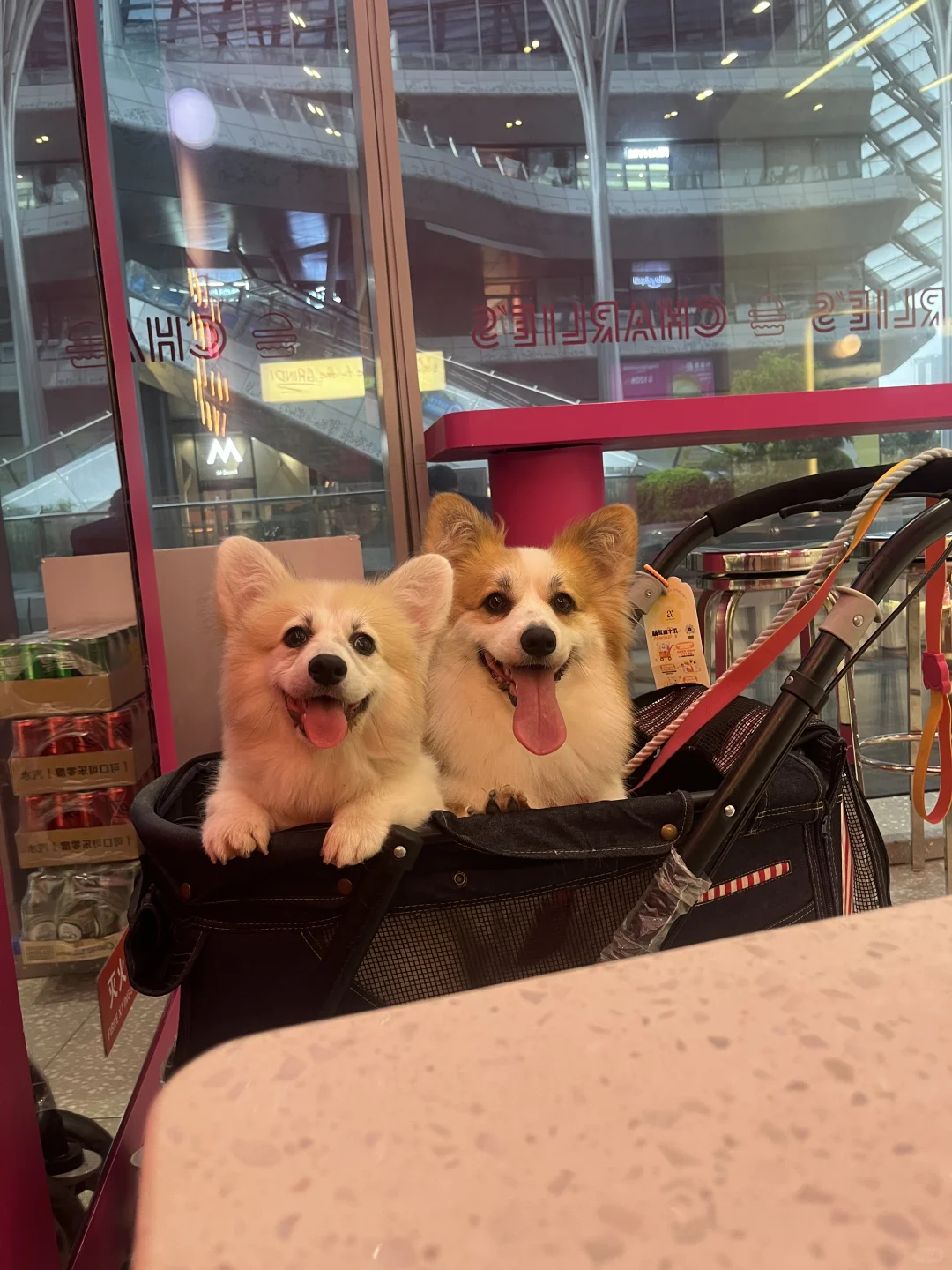 我的两个饭搭子