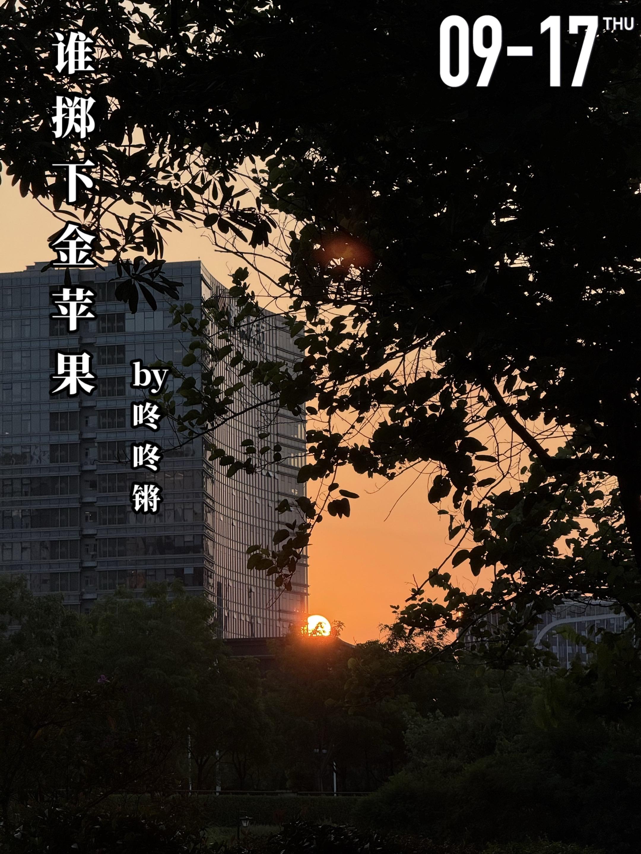 《谁掷下金苹果》by咚咚锵。二十一岁的小镇女孩陈芳芳（女主）从湖南农村...