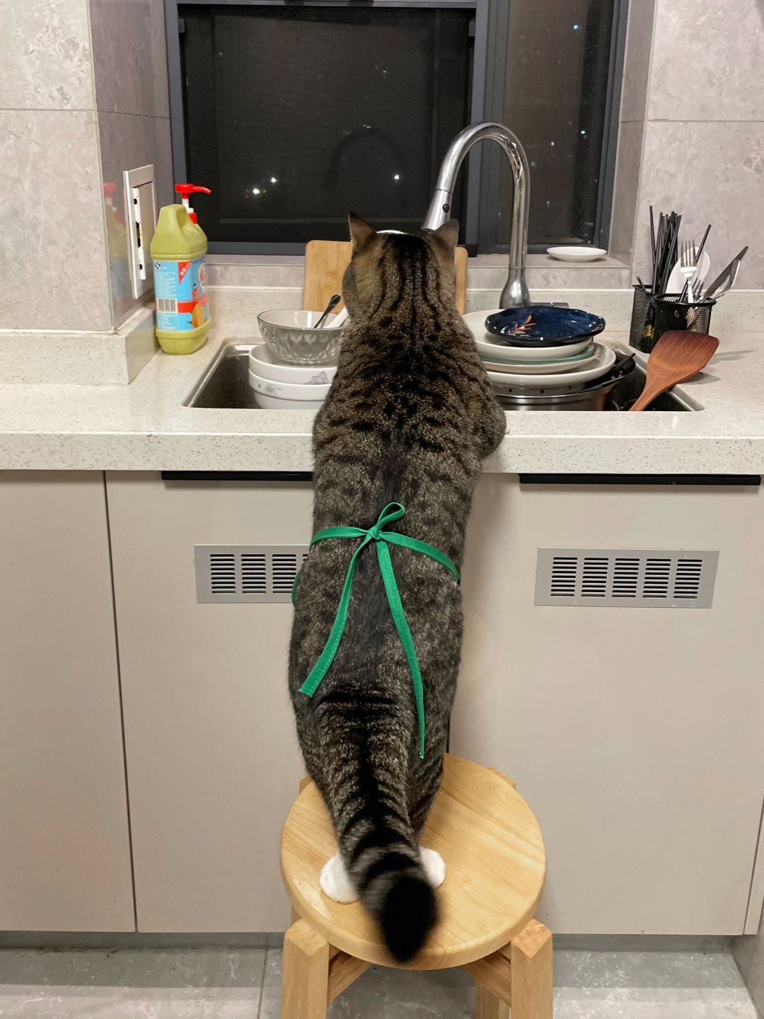 我妈问我养猫到底有啥用？