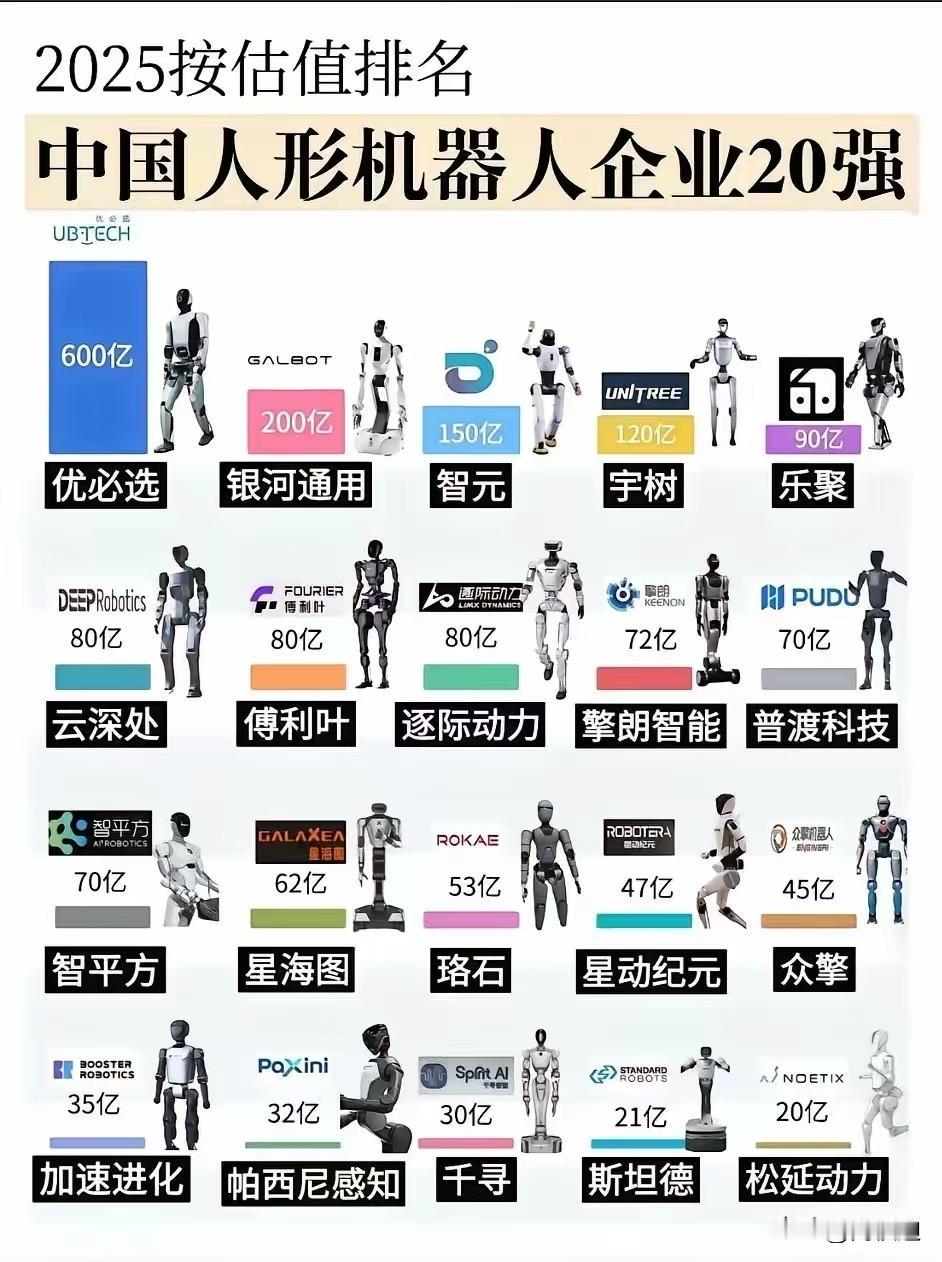 【AI机器人的砍】@高桢迪 
王兴兴说：机器人的泛化能力和通用能力远远不够，只能