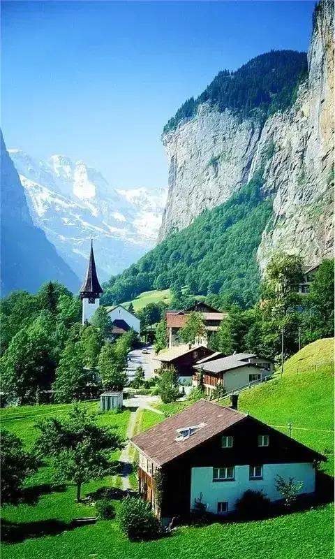 在浩瀚的人海中，有一段友情如春风化雨，润物无声。那是一次偶然的相遇，却成了彼此生