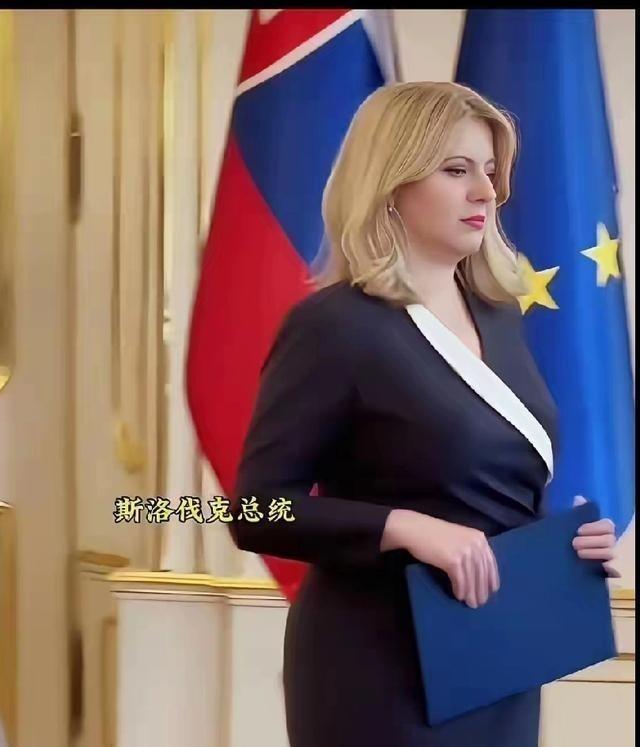 这应该是目前世界上最美的女总统了。
恰普托娃出生在斯洛伐克布拉迪斯拉发一个普通家