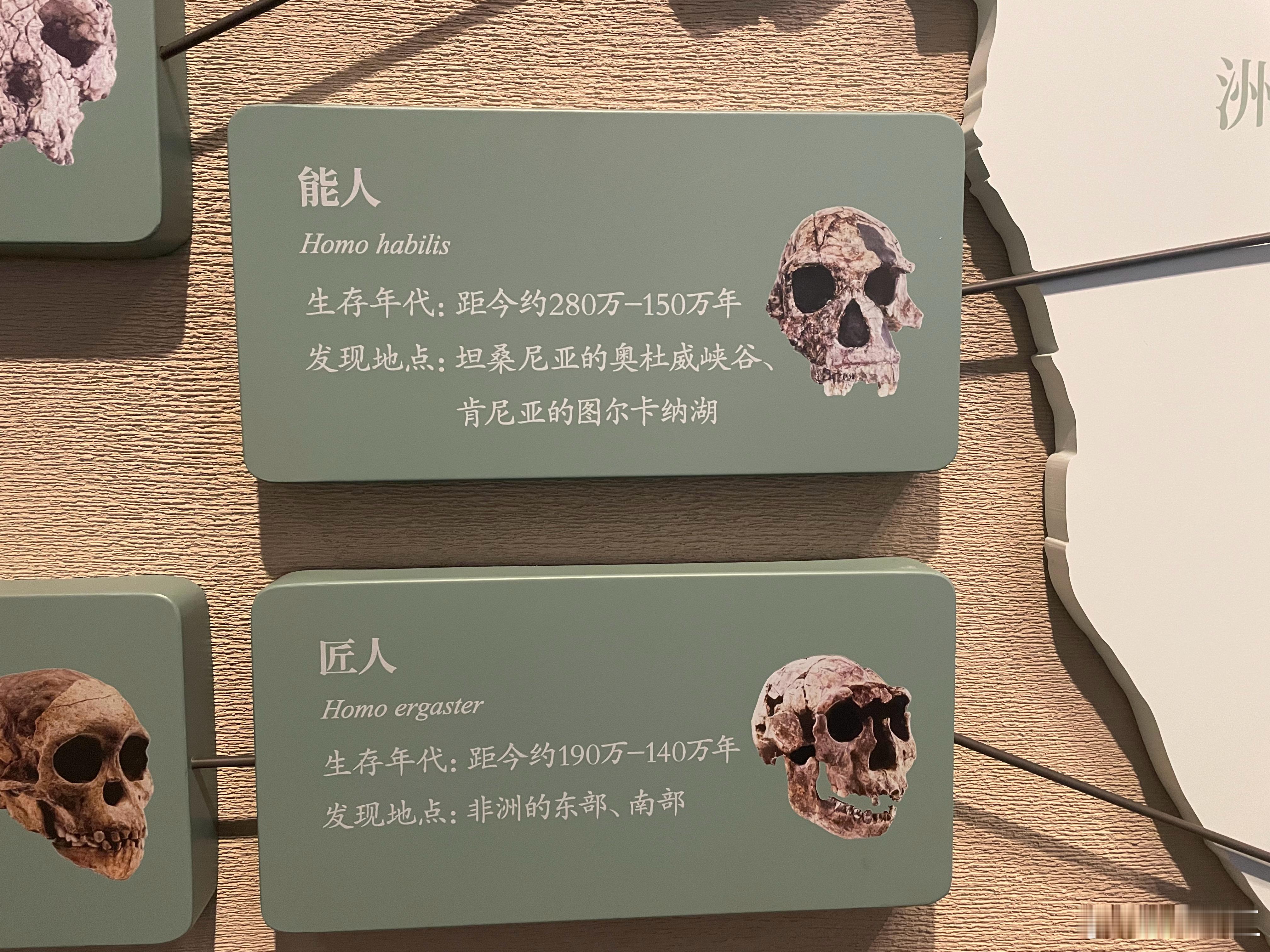 我说现在能人这么多呢，难道都是“能人”的后代？ 