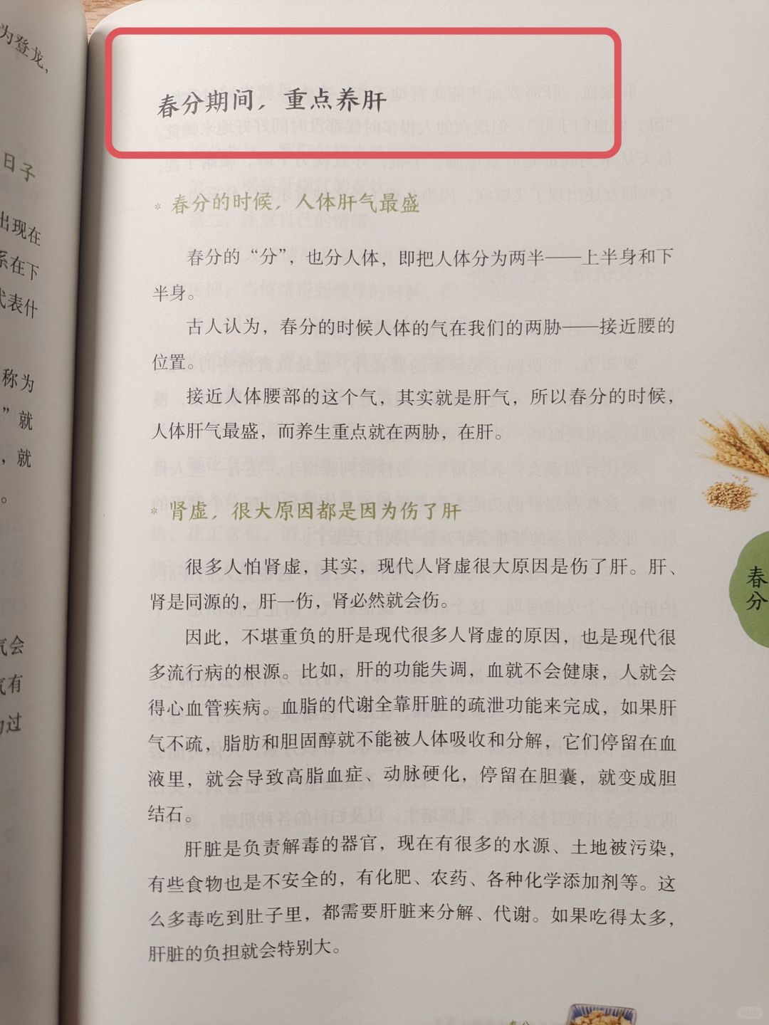 陈允斌老师——春分节前，养肝就对了🔥