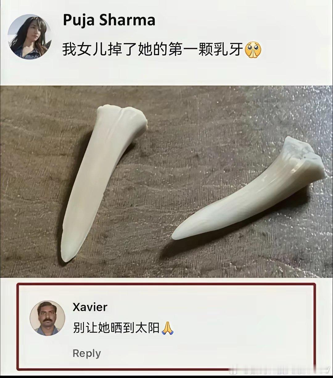 我已经转发给英叔了，他说晚上去你家看看……