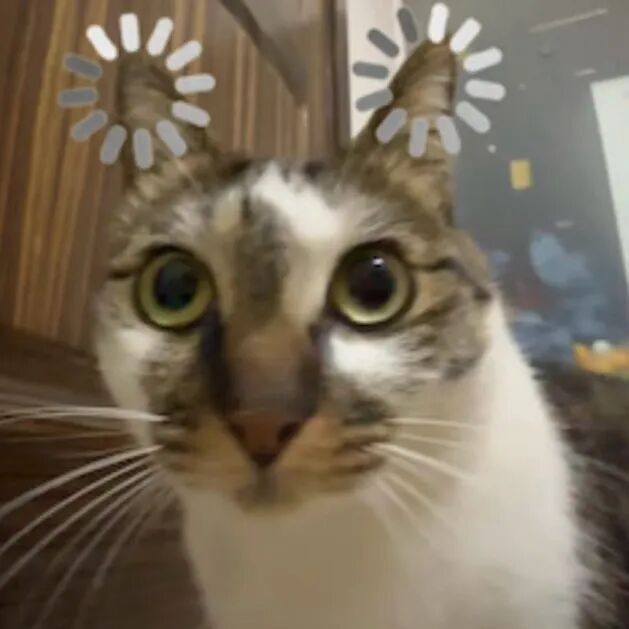 分享一下你最近做的奇怪的梦 