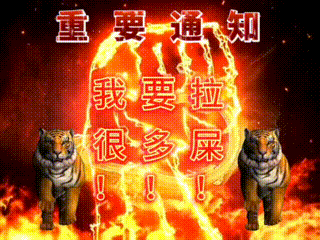 全是神经又实用的动态表情包 ​​​