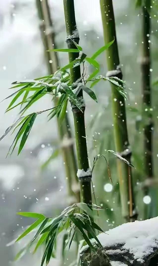 上联：窗含月影疑霜落
下联：墙上竹枝鸟雀跃