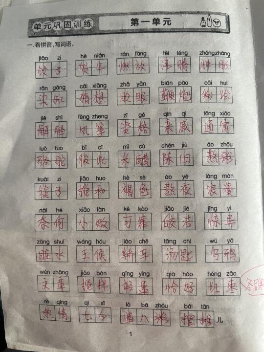 六年级下册语文期中基础知识复习