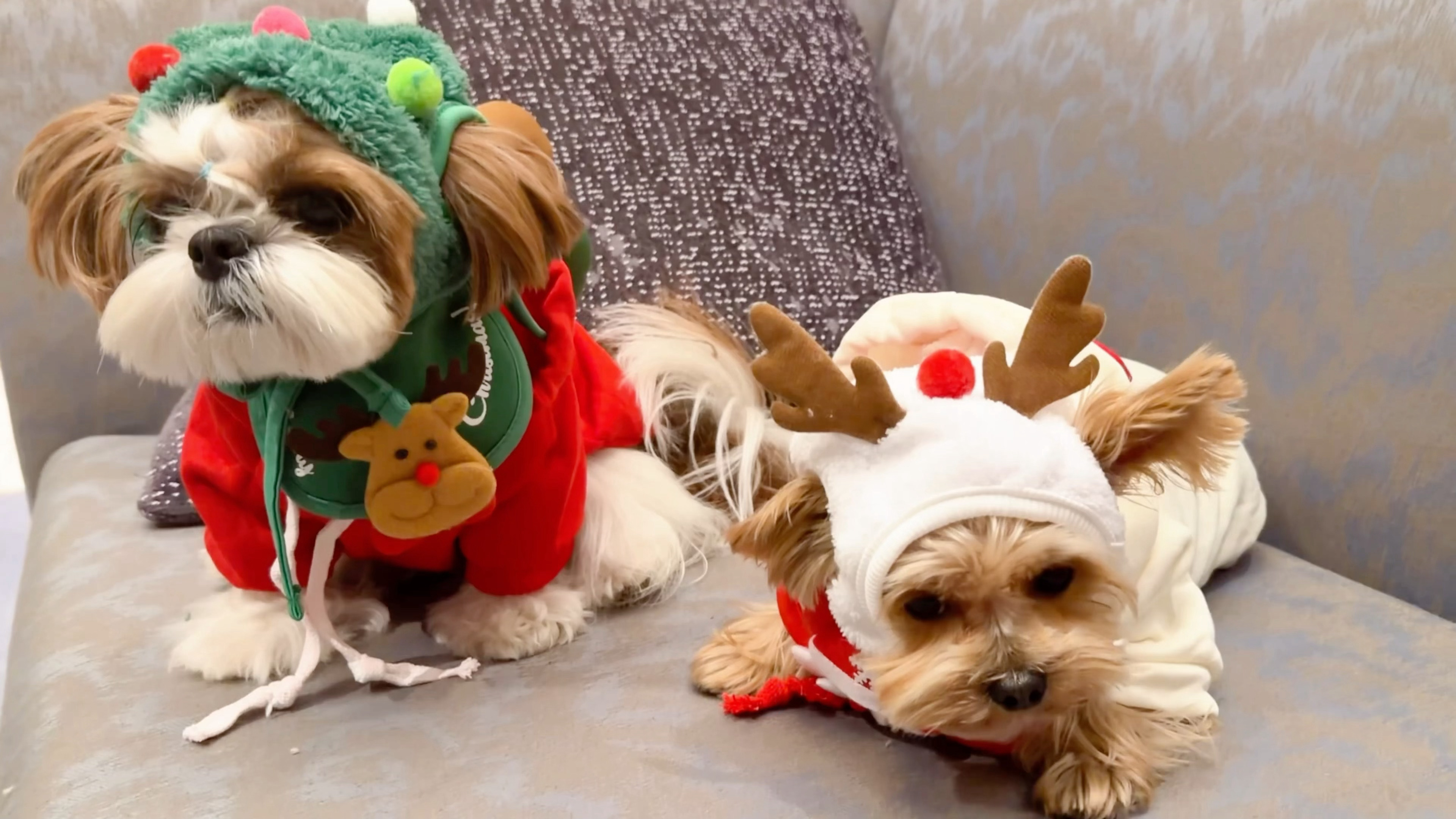 檀健次是不是也被“鸡公煲鸡公煲，经过我的胃”洗脑了？ 