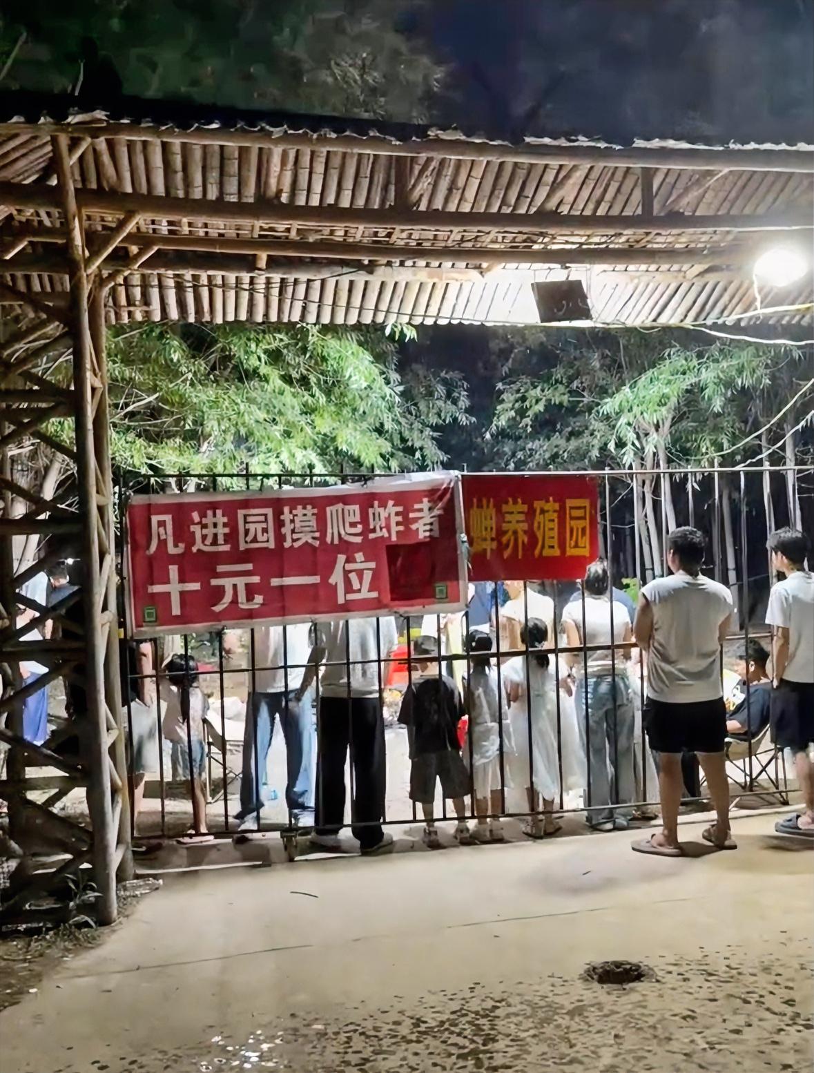 进园摸爬蚱10元一位，农户爬蚱养殖园对游客开放进园体验摸爬蚱。农户提供手灯一个大