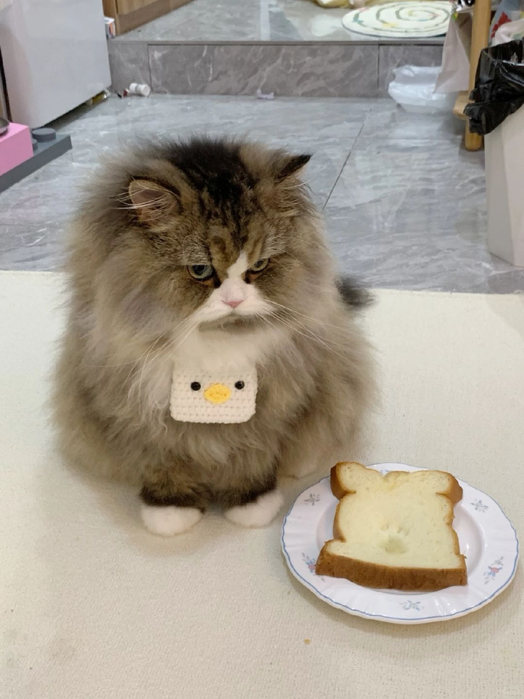 室友给我送来了他亲手制作的猫爪面包