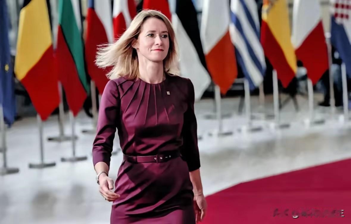 欧盟新外长路子太野！
欧盟新外长卡拉斯这操作，真是刷新了外交底线！作为爱沙尼亚前