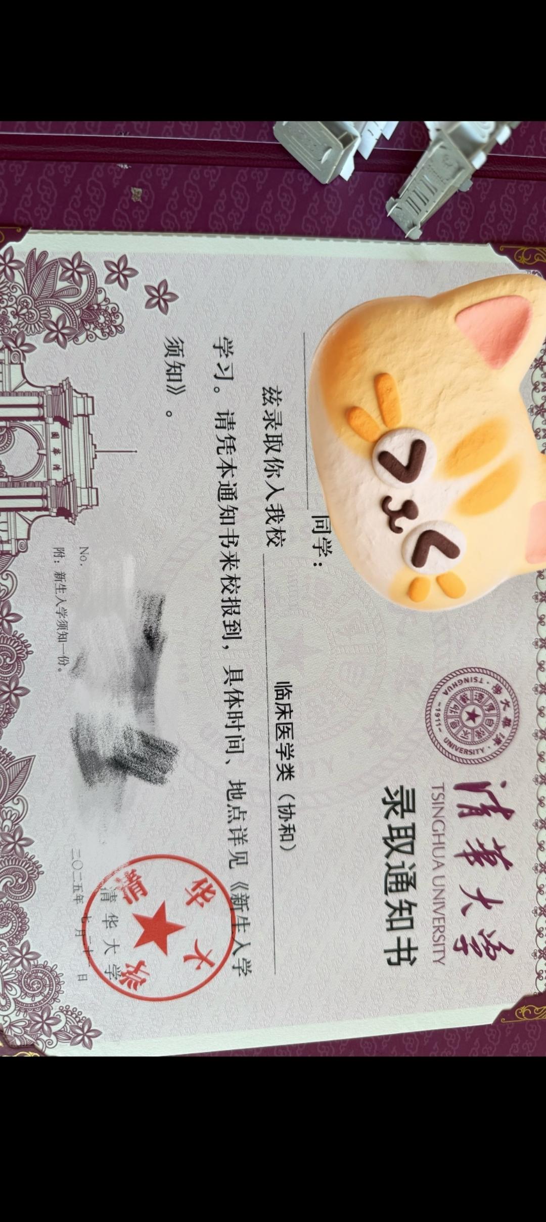 同样都是清华大学的录取通知书，不同的行业差距可以说很大。

比如这个清华大学协和