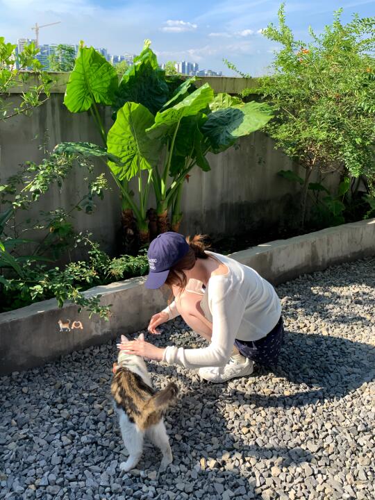 小᳐猫᳐੭ﾞ 🐈🤳